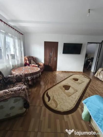 Casă cu 4 camere cu Teren 6000 Mp în Negostina