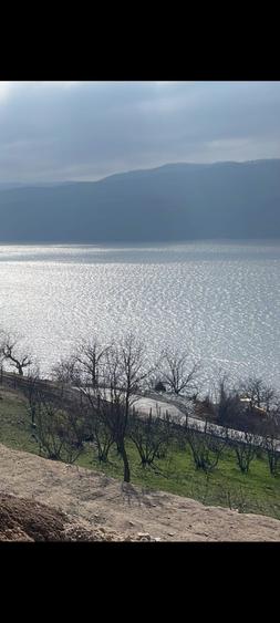 Teren Construcții intravilan de 6424 mp, în Svinița