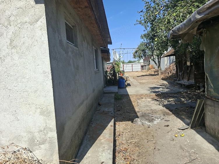 Casă cu Teren 3800 Mp în Jilava