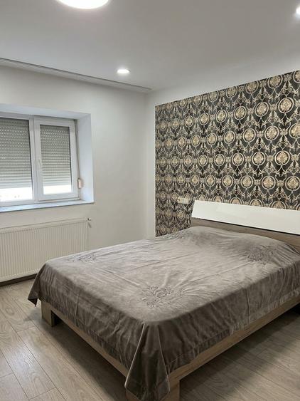 Casă cu 3 camere în Vetiș