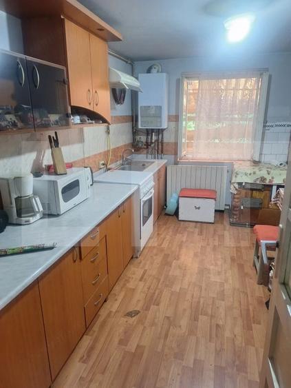 Casa de vanzare in Lugoj - 13