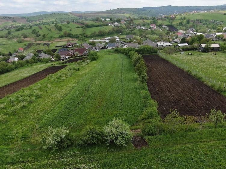 Teren de 50000 mp, în Bălțătești