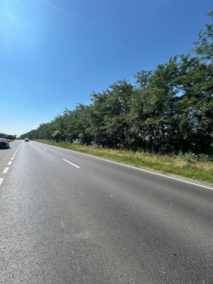 Teren în Trafic Greu