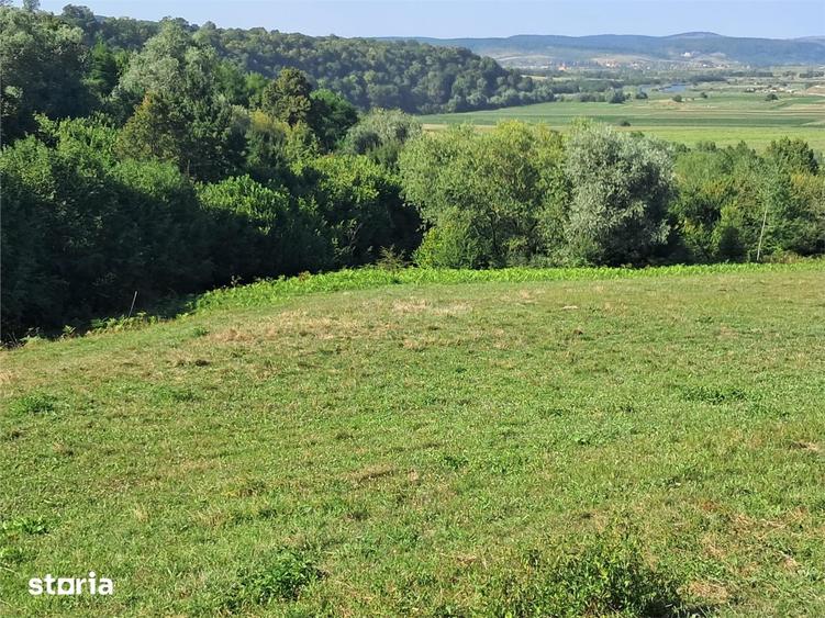 Teren de 17600 mp, în Central