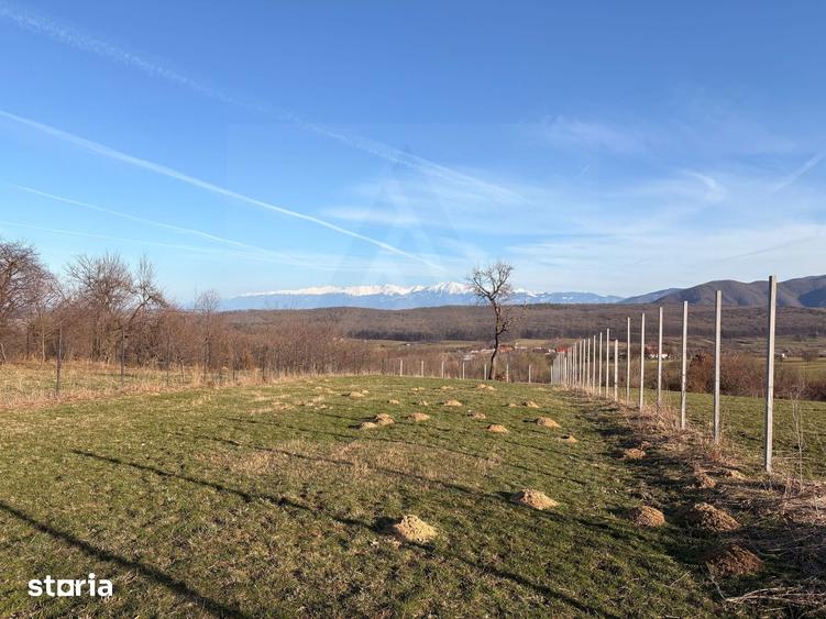 Teren de 809 mp, în Poplaca