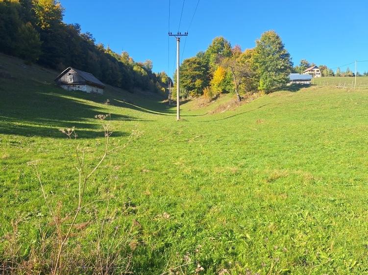 Teren de 16000 mp, în Ciocanu