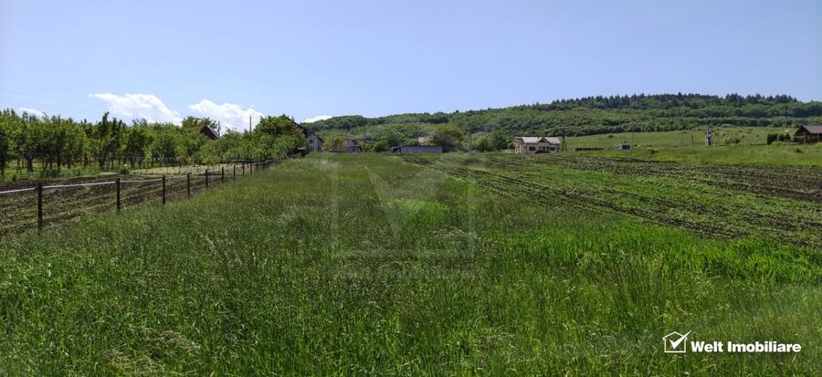 Teren Construcții intravilan de 2900 mp, în Vâlcele