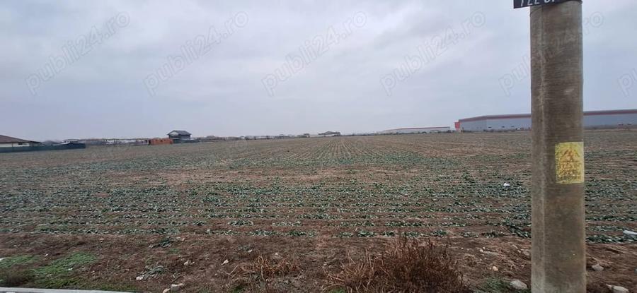 Teren intravilan Dragomiresti-Deal, Str. Ulmului, 3400mp - 5