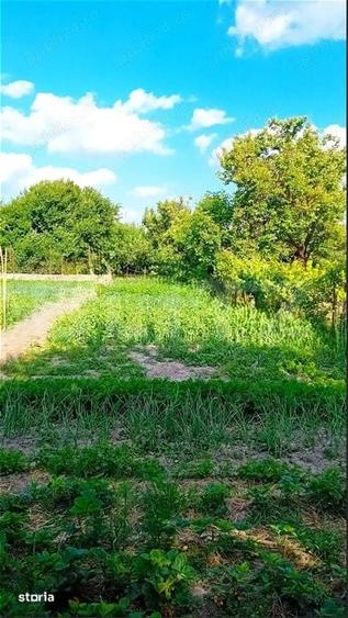 Casa 4 camere, 94 mp, 816 mp teren, Braytim-Fratelia - 15