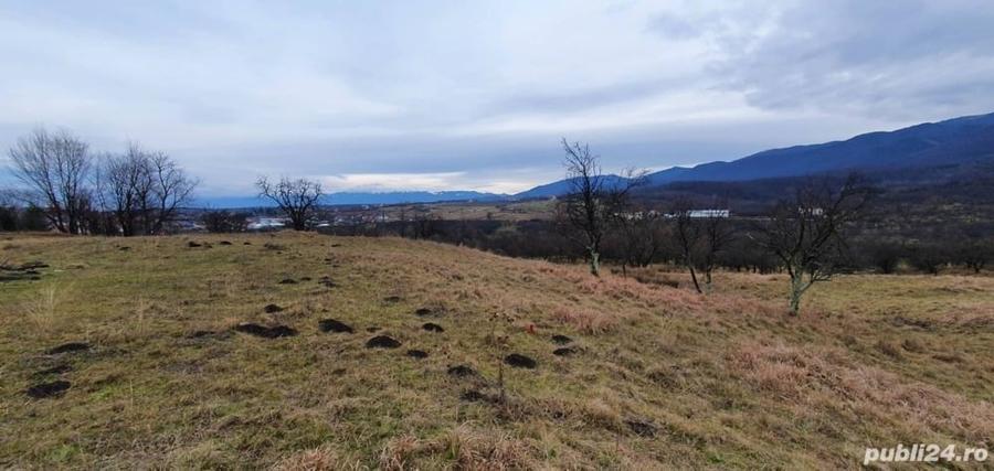 Teren de 1255 mp, în Cisnădioara
