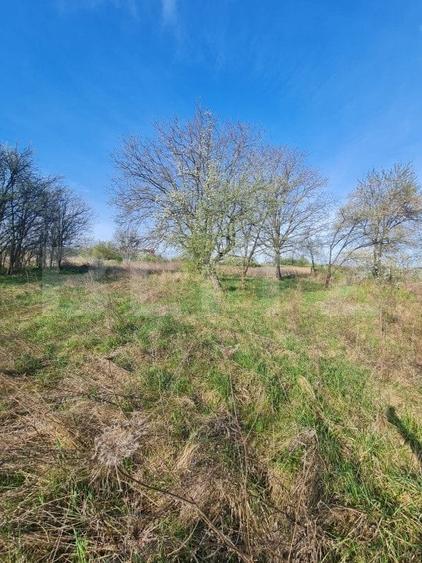 Teren Construcții intravilan de 4000 mp, în Iris