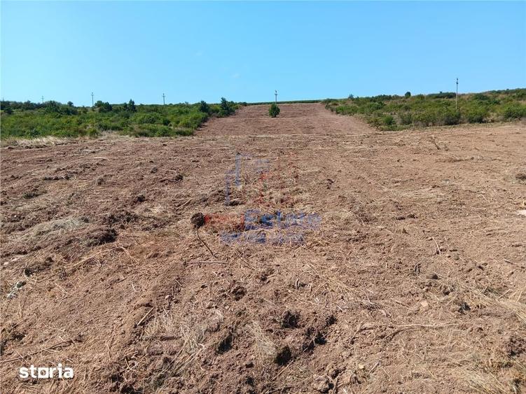 Teren de 10000 mp, în Aroneanu