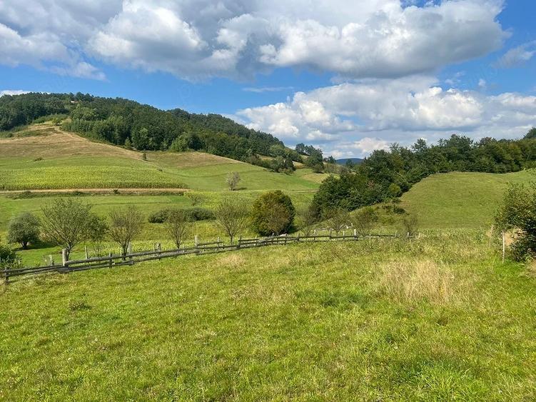 Teren extravilan 60 ari in Ro?ia, Bihor Langa parau, ideal pentru glamping, cabane sau ferma - 3