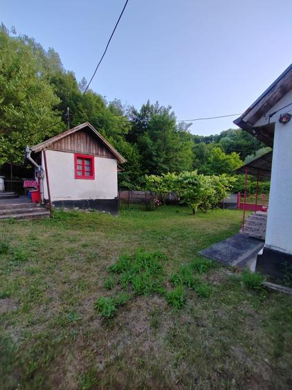 Casă individuală cu 4 camere cu Teren 8700 Mp în Băița