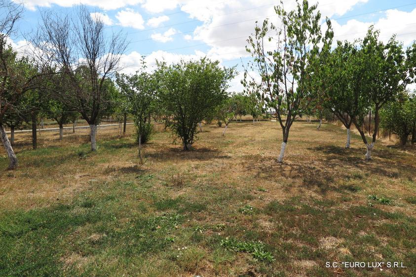 Teren de 650 mp, în Aradul Nou