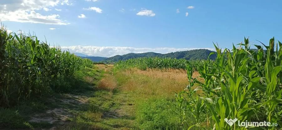 Teren de 500 mp, în Copăcelu