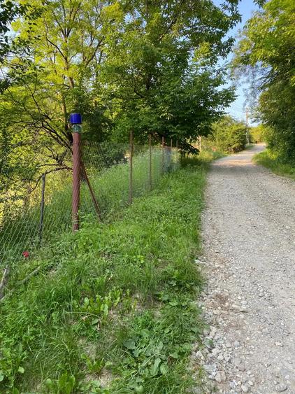 Teren 5000mp cu casa veche ?i fantana, 3km de Sta?iunea Sacelu - ideal casa de vacanta - 2