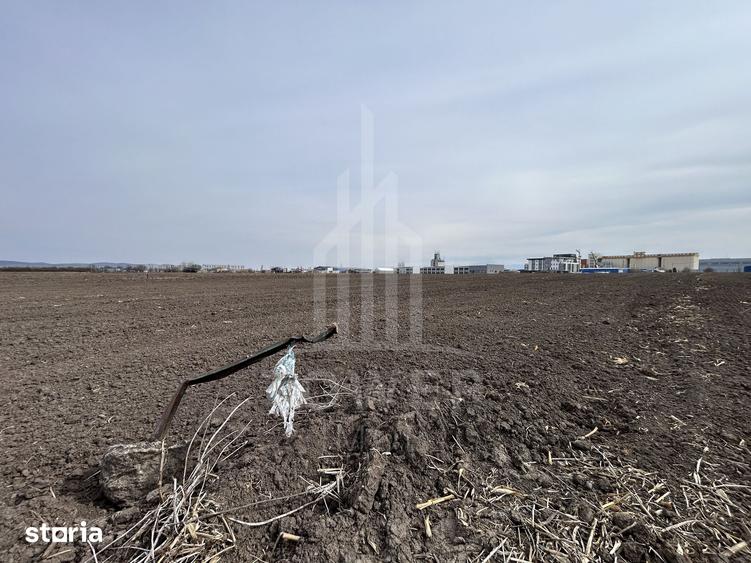 Teren intravilan de vanzare Zona Industriala Vest | Comision 0% - 3