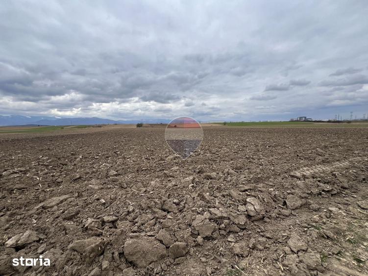 Teren de 2800 mp, în Șelimbăr
