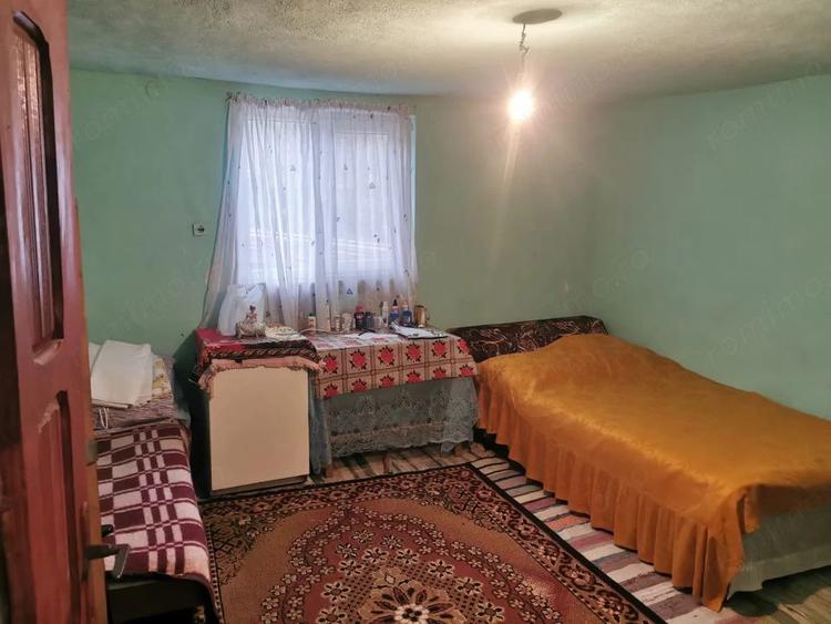 Casă cu 4 camere cu Teren 7000 Mp în Argetoaia