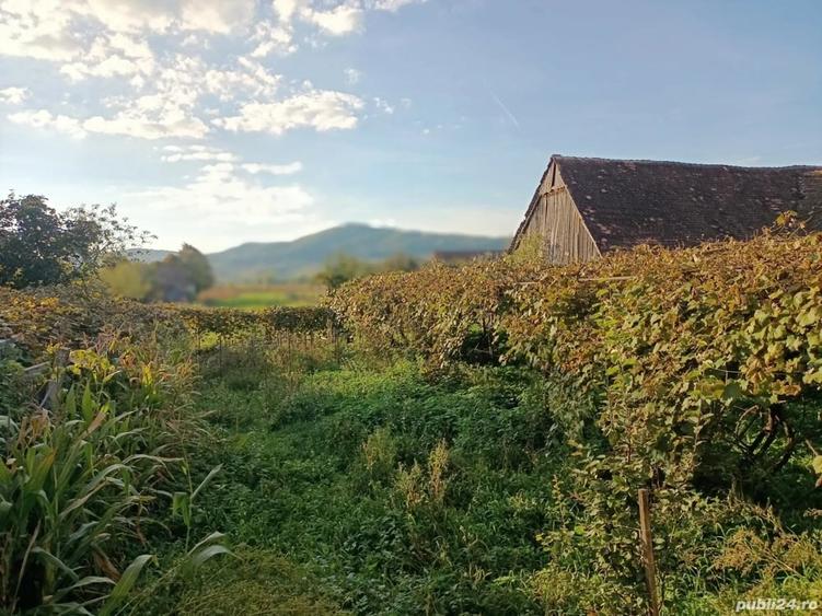 Casă cu Teren 800 Mp în Mateiaș