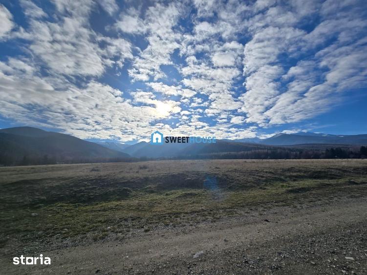 Teren de 22790 mp, în Recea