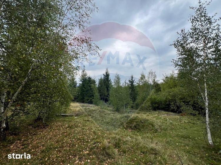 Teren extravilan parcelabil Cala?ele Padure, zona Dealu Negru - 19