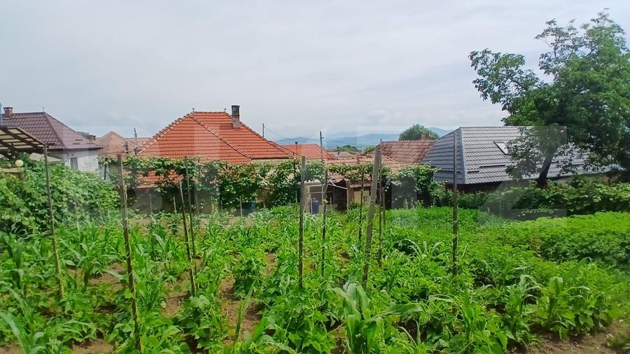 Casă individuală cu 3 camere cu Canalizare în Reghin
