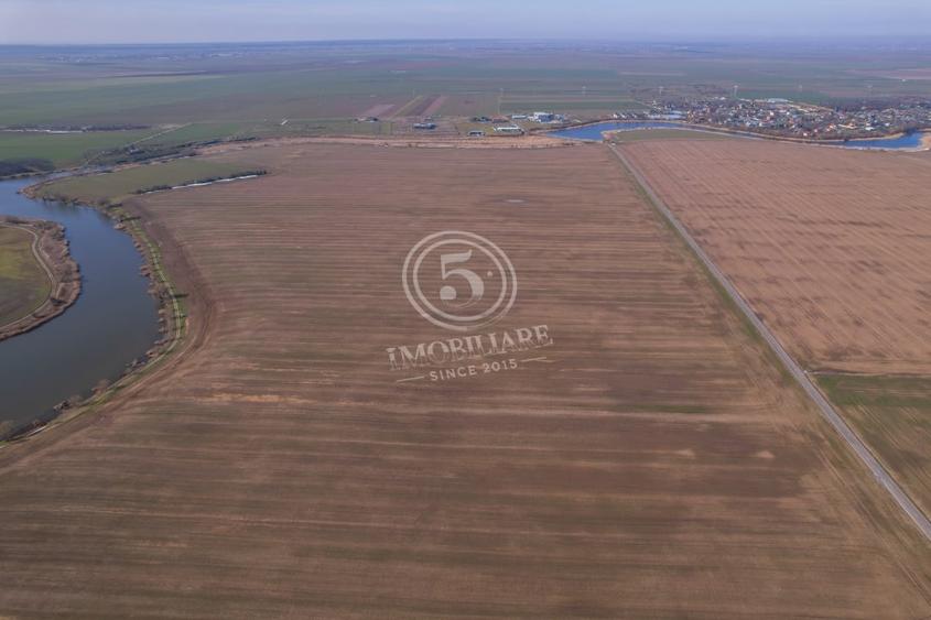 Teren Construcții intravilan de 17500 mp, în Frumușani