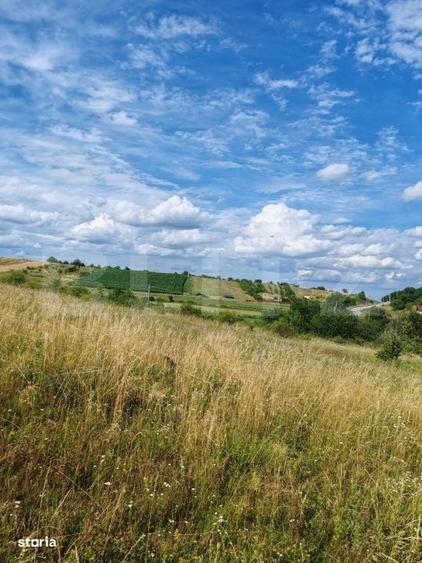 Teren intravilan ideal pentru casa, 4300mp, Deusu -Chinteni - 2