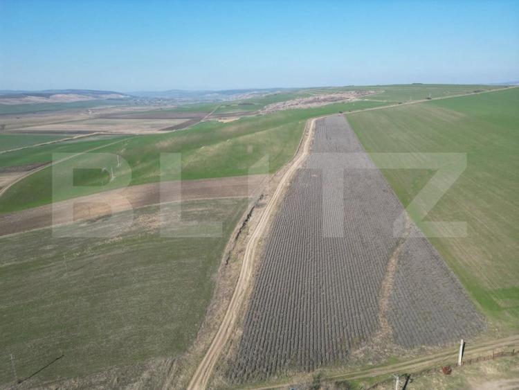 Teren Construcții intravilan de 45000 mp, în Dobrovăț