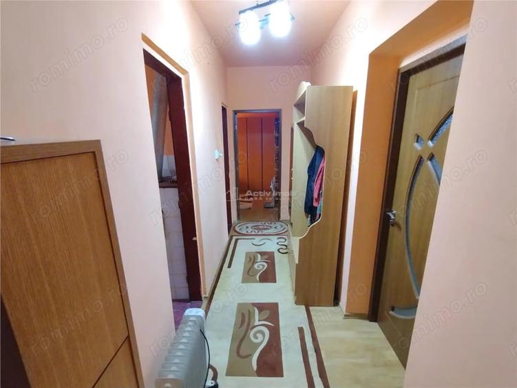 Apartament cu 3 camere decomandat în Bozovici