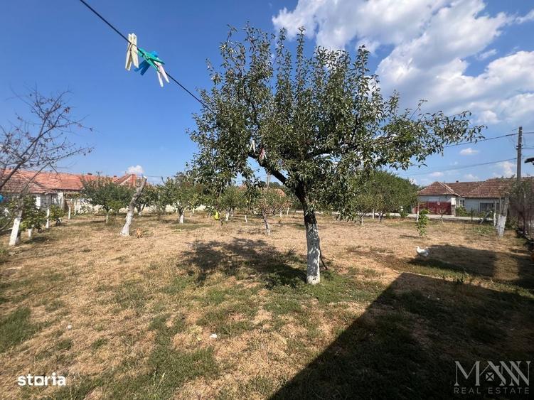 Teren intravilan de vanzare | Tileagd | jud. Bihor - 5