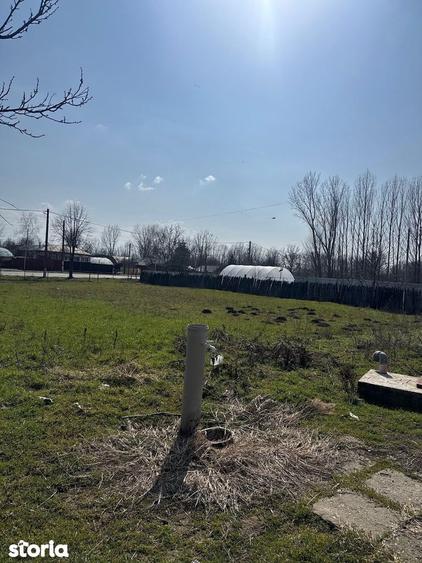 Teren+ casa Gostinu - 6
