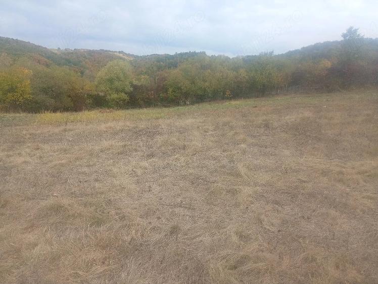 Teren de 5000 mp, în Baia