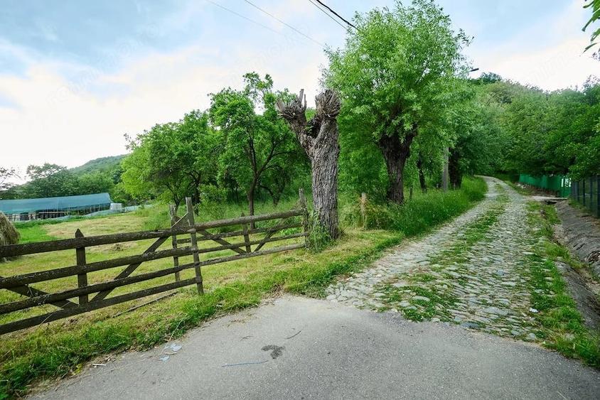 Casă cu 3 camere cu Teren 4696 Mp în Central