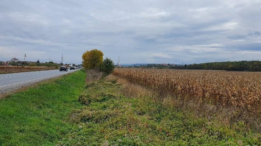 Teren agricol intravilan de 11791 mp, în Sântandrei