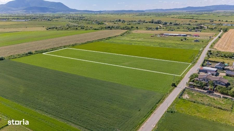 Spațiu comercial, în Stupini
