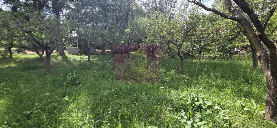 Casă individuală cu 9 camere cu Canalizare în Nord