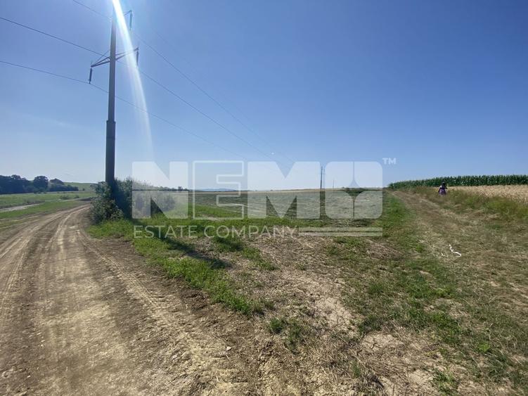 Teren agricol extravilan de 3401 mp, în Burdujeni