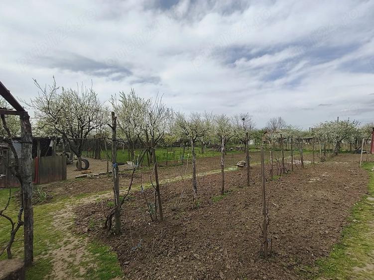 Casă cu 4 camere cu Teren 1500 Mp în Dârvari
