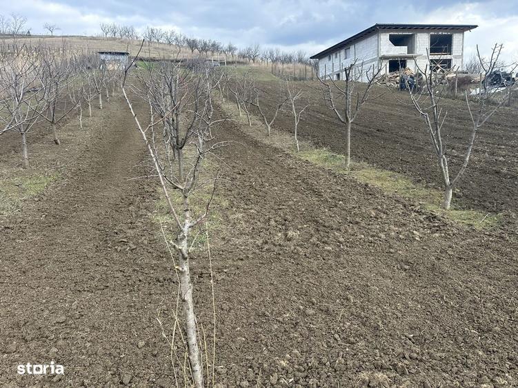Teren de 1724 mp, în Popricani