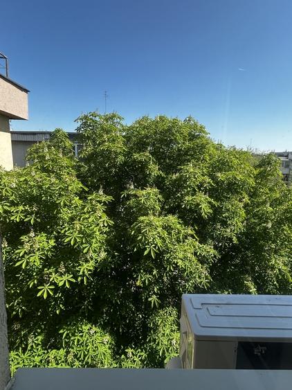 Apartament decomandat în Decebal
