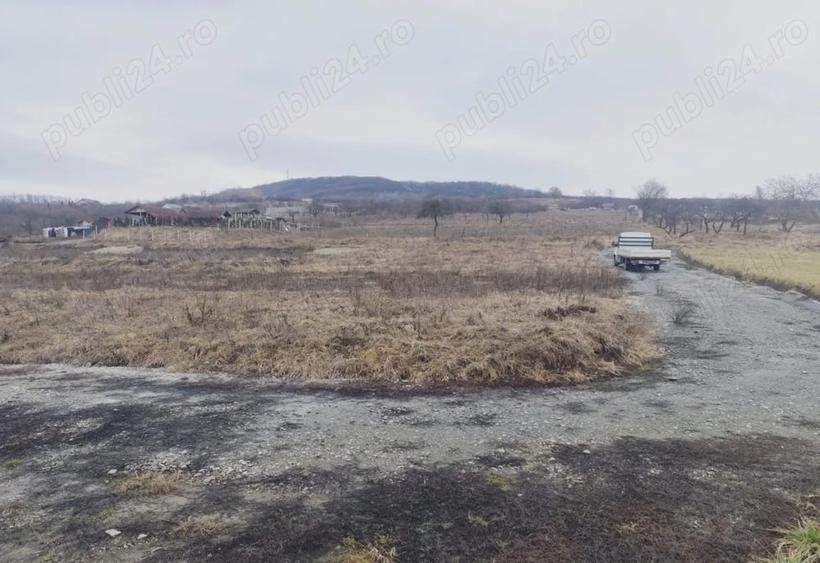 Teren de 5500 mp, în Central