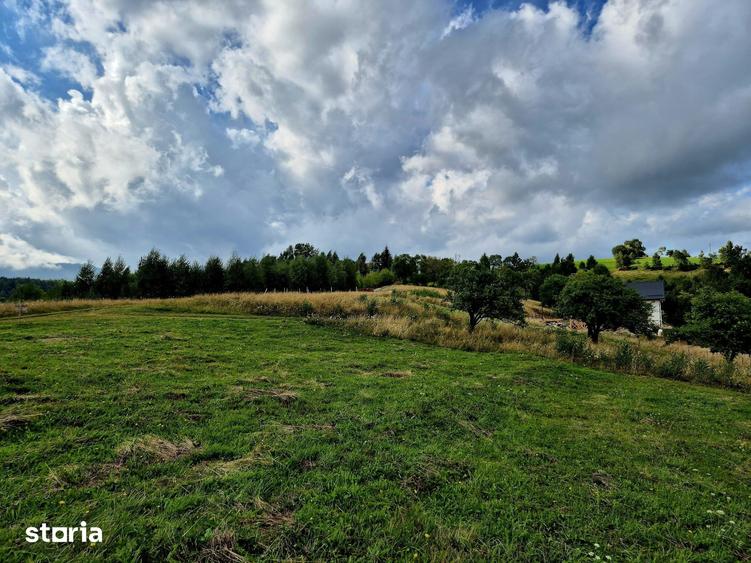 TEREN EXTRAVILAN DE VANZARE PE?TERA, MOECIU- INVESTI?IE CU POTEN?IAL - 5