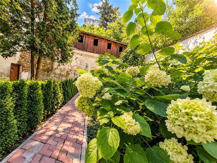 Apartament cu 3 camere decomandat în Centrul Istoric