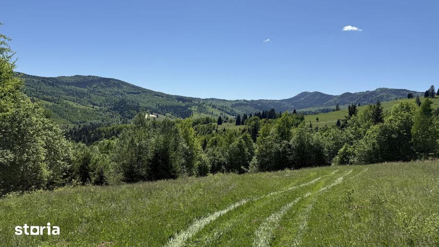 Teren de 21053 mp, în Vama