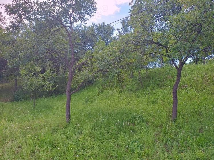 Teren de 150 mp, în Nepos