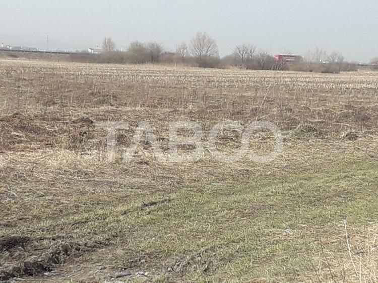 Teren agricol extravilan de 4200 mp, în Turnișor