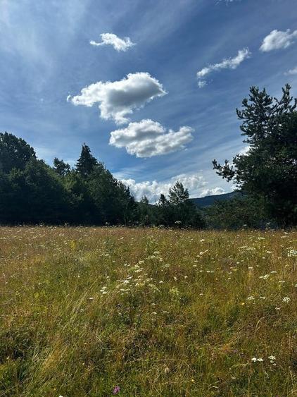 Teren de 5833 mp, în Bistra